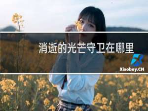 消逝的光芒守卫在哪里