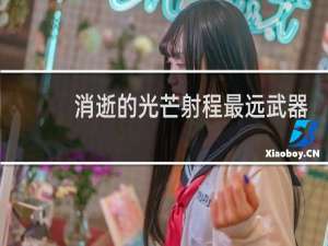 消逝的光芒射程最远武器