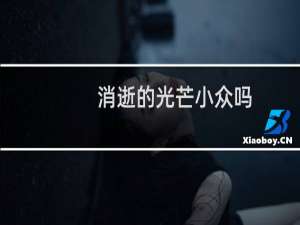 消逝的光芒小众吗
