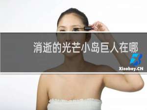 消逝的光芒小岛巨人在哪