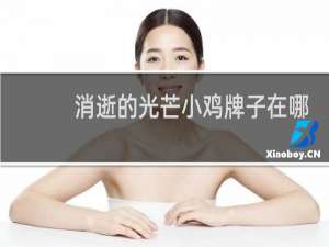 消逝的光芒小鸡牌子在哪
