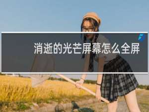 消逝的光芒屏幕怎么全屏