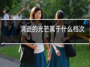 消逝的光芒属于什么档次