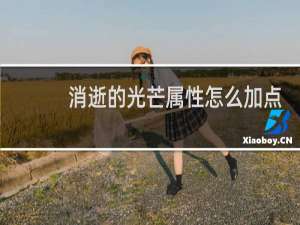 消逝的光芒属性怎么加点