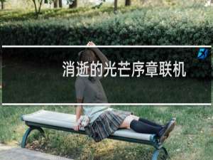 消逝的光芒序章联机