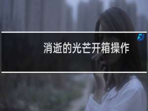 消逝的光芒开箱操作