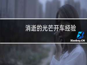 消逝的光芒开车经验