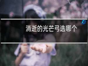 消逝的光芒弓选哪个