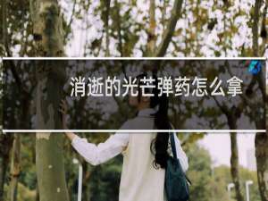 消逝的光芒弹药怎么拿