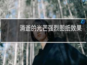 消逝的光芒强烈图纸效果