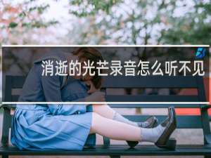 消逝的光芒录音怎么听不见