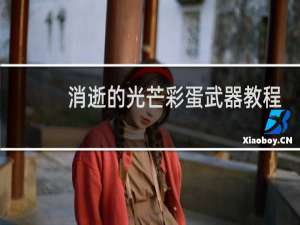 消逝的光芒彩蛋武器教程