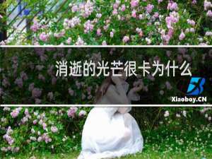 消逝的光芒很卡为什么