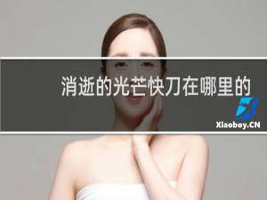 消逝的光芒快刀在哪里的