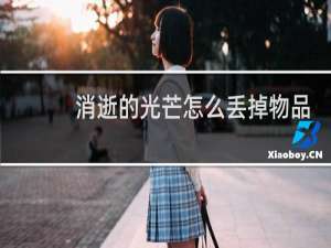 消逝的光芒怎么丢掉物品