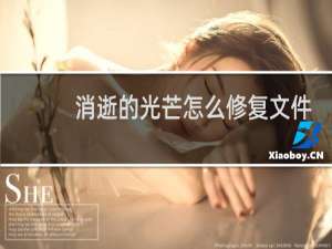 消逝的光芒怎么修复文件