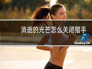 消逝的光芒怎么关闭猎手