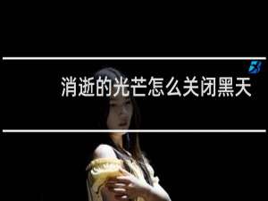 消逝的光芒怎么关闭黑天