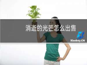 消逝的光芒怎么出售