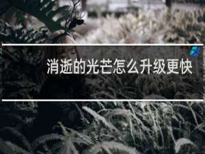 消逝的光芒怎么升级更快