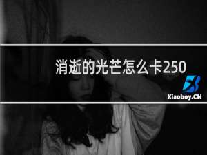 消逝的光芒怎么卡250