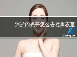 消逝的光芒怎么去找熏衣草