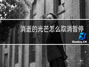 消逝的光芒怎么取消暂停