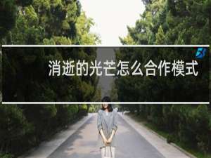 消逝的光芒怎么合作模式