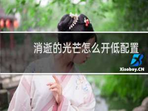 消逝的光芒怎么开低配置