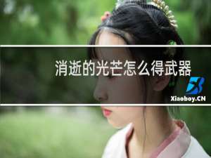消逝的光芒怎么得武器