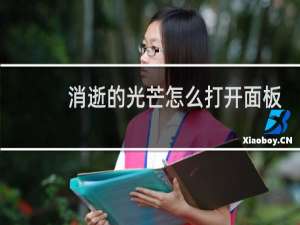 消逝的光芒怎么打开面板
