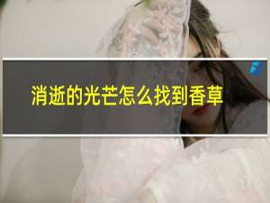 消逝的光芒怎么找到香草