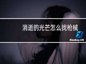 消逝的光芒怎么找枪械