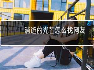 消逝的光芒怎么找网友