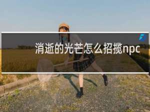 消逝的光芒怎么招揽npc
