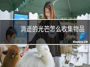 消逝的光芒怎么收集物品