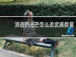 消逝的光芒怎么改武器数量