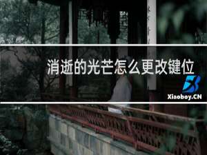 消逝的光芒怎么更改键位