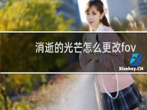 消逝的光芒怎么更改fov