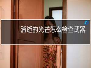 消逝的光芒怎么检查武器