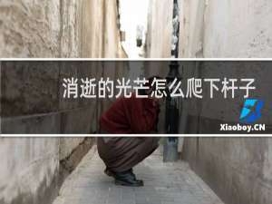 消逝的光芒怎么爬下杆子