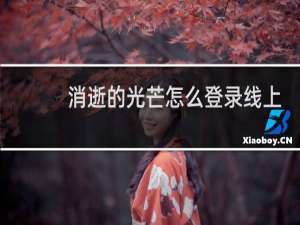 消逝的光芒怎么登录线上