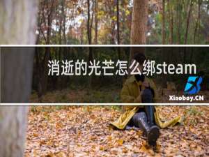 消逝的光芒怎么绑steam