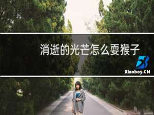 消逝的光芒怎么耍猴子