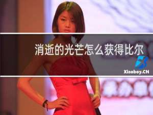 消逝的光芒怎么获得比尔