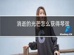 消逝的光芒怎么获得琴弦