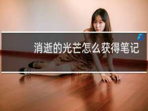 消逝的光芒怎么获得笔记