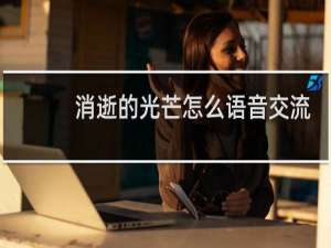 消逝的光芒怎么语音交流