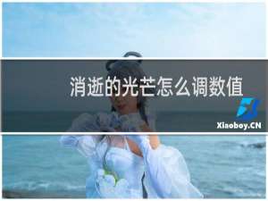 消逝的光芒怎么调数值