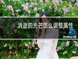 消逝的光芒怎么调整属性